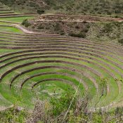 maras-moray-01