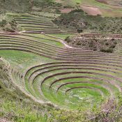 maras-moray-02